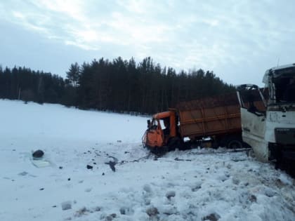 Два грузовика столкнулись на трассе в Воронежской области — один из водителей погиб
