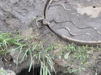 Огромные ямы образовались после потопа в частном секторе в Воронеже