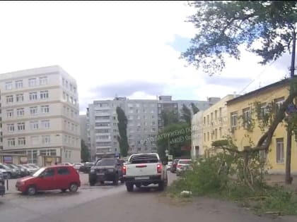 «Угроза для&nbsp;жизни пешехода»: висящее на&nbsp;проводах дерево обеспокоило воронежцев