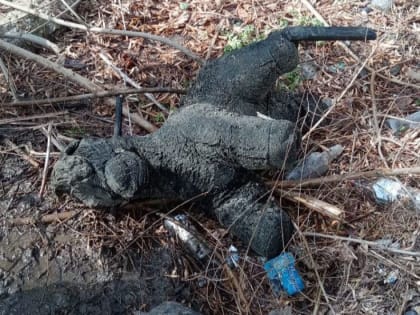 Неожиданную находку из&nbsp;воронежской канализации показали коммунальщики на фото