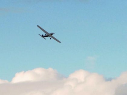 Необычное происшествие в Воронеже