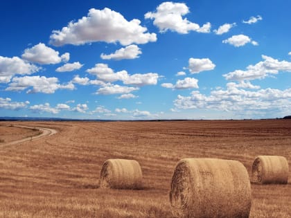 Новые инициативы для улучшения городской инфраструктуры