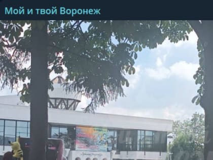 «Дети ждут!»: воронежцев возмутил неработающий фонтан на&nbsp;Советской площади