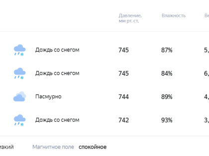Погода 3 марта в Новой Усмани будет дождливой, снежной и пасмурной