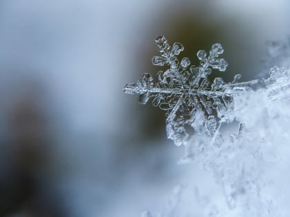 Синоптики дали прогноз на первый рабочий день года в Воронежской области