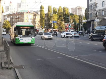 Во время «Чернозёмфеста» увеличат количество рейсов двух автобусных маршрутов в Воронеже