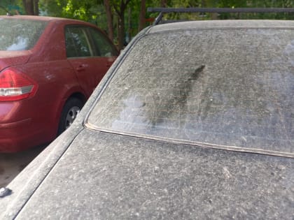 Воронежцев озадачил дождь с&nbsp;песком, накрывший город ночью