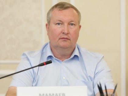 Вячеслав Мамаев покинул пост руководителя управления ЖКХ Воронежа