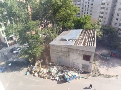 Проблемы с вывозом мусора в городе