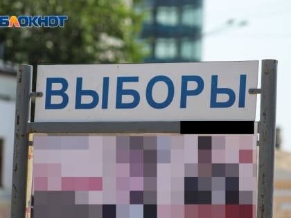 Сколько воронежцев хотят голосовать на выборах губернатора дистанционно