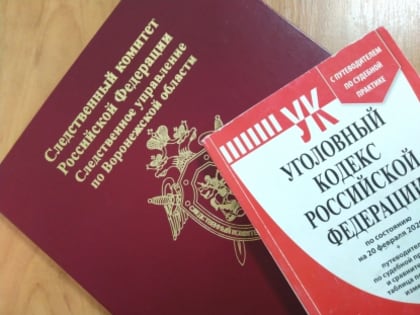 В Воронеже мужчина пытался дать взятку сотруднику органов безопасности, желая скрыть факт судимости