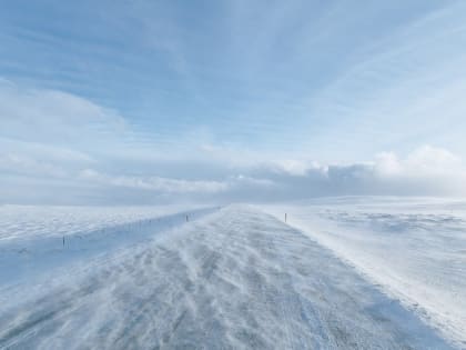 Спасатели предупредили воронежцев о сильном ветре в начале рабочей недели