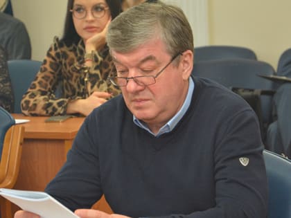 Воронежские депутаты позитивно оценили программу по развитию малого и среднего бизнеса