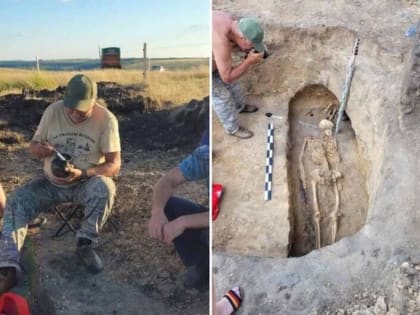 Скелет человека нашли в Воронежской области