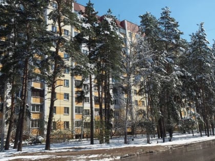 До +7 градусов потеплеет в Воронежской области в конце февраля