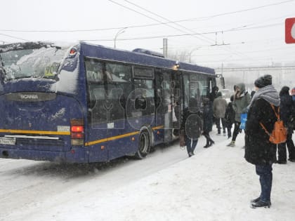 «Сколько нам мёрзнуть на&nbsp;остановках?» Около 10% автобусов не&nbsp;вышли на&nbsp;линию в&nbsp;Воронеже