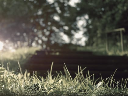 Синоптики дали прогноз на первый день рабочей недели в Воронеже