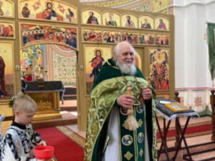 Вход Господень в Иерусалим в храме села Петренково