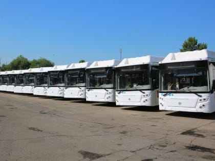 Новый автобусный маршрут запускают в Воронеже