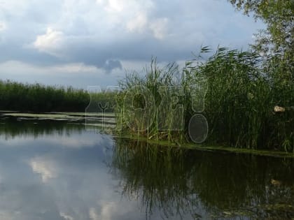 Прогноз погоды в Воронеже на вторник, 2 мая