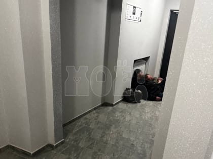 «Они нас атакуют!»: воронежцы пожаловались на бездомных, которые загадили ЖК