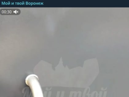 «Ищут кустики»: воронежцы пожаловались на&nbsp;закрытые туалеты на&nbsp;Петровской набережной