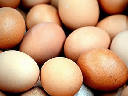 В Воронежской области увеличат мощность Третьяковской птицефабрики