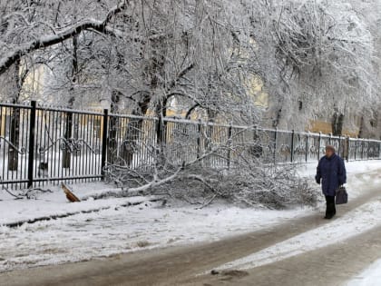 Синоптики предупредили воронежцев о ветре и гололедице