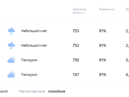 Погода 31 декабря в Новой Усмани будет снежной и пасмурной