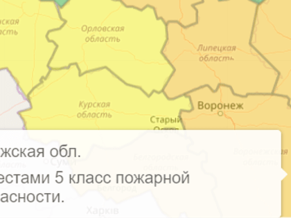 Жара сбавит обороты в Воронежской области