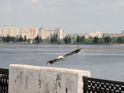 Погода в Воронеже на воскресенье, 24 сентября