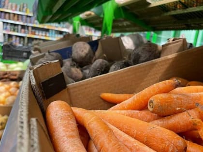 Воронежстат рассказал, как изменились цены на продукты и товары в 2024 году