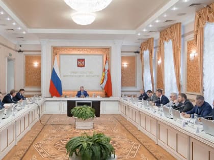 В Воронежской области реализуют более 50 значимых инвестпроектов
