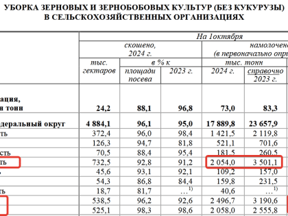 Урожайность зерновых в Воронежской области значительно снизилась