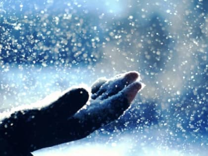 Последняя рабочая неделя зимы в Воронеже выдастся снежной