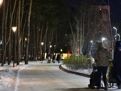 Итоги недели. Что важного произошло в Воронежской области с 10 по 16 января