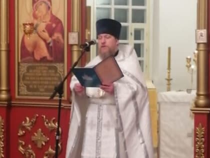 В Покровском храме с. Шапошниковка  встретили Рождество Христово