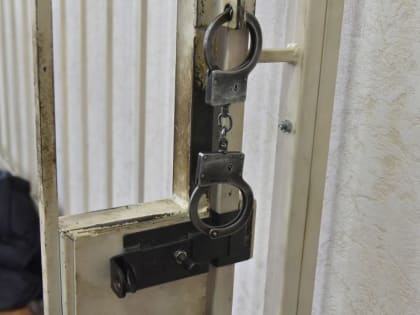 Липчанину грозит до 10 лет лишения свободы за угон автомобиля премиум-класса в Воронеже