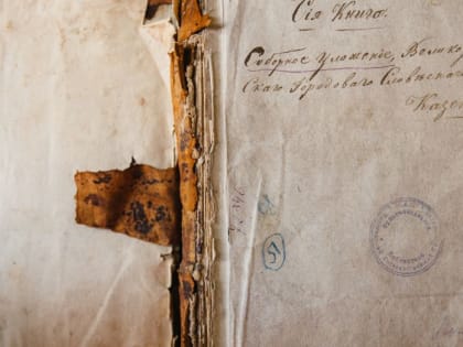 В Воронеже в Никитинскую библиотеку привезут оборудование для реставрации старинных книг