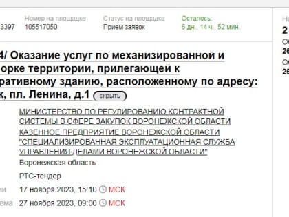 До восхода солнца: как будут убирать снег под окнами губернатора Воронежской области