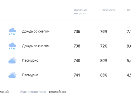 Погода 5 марта в Новой Усмани будет дождливой, снежной и пасмурной