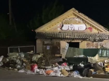 «Утопили город в мусоре»: воронежский депутат раскритиковал работу «Экотехнологий»