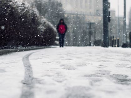 За день после ледяного дождя в травмпункты Воронежа обратились 319 человек