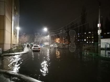 Часть улицы в Воронеже превратилась в озеро из-за потепления