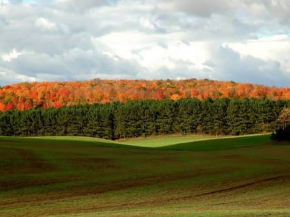 Открытие новой выставки «Пещерное зодчество»