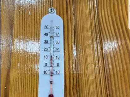 Дети продолжают мёрзнуть в&nbsp;воронежской гимназии