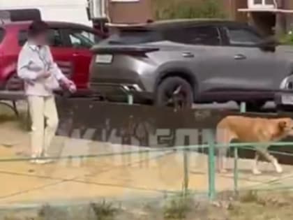 Проблемы с соседями: Воронежская пенсионерка игнорирует замечания