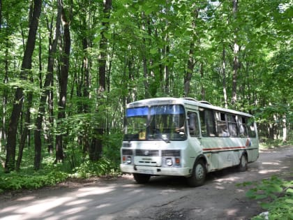 Воронежских дачников оставили без автобуса из-за разбитых дорог