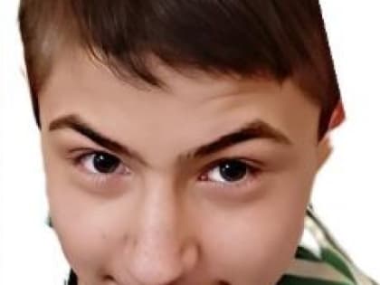 Подросток пропал без вести под Воронежем