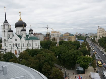 В Воронеже пройдёт благотворительная акция «Белый цветок»